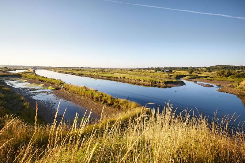 Marais en Vendée sous le soleil