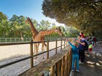 Zoos, parcs animaliers et aquariums en Vendée