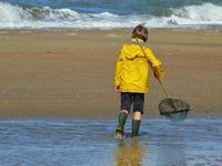 Tout savoir sur la pêche à pied en Vendée
